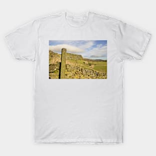 Meadow Land Single File T-Shirt
